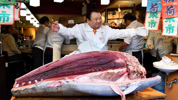 Thon rouge à 1,5 million d'euros aux enchères à Tokyo en 2020 - Sushiprod